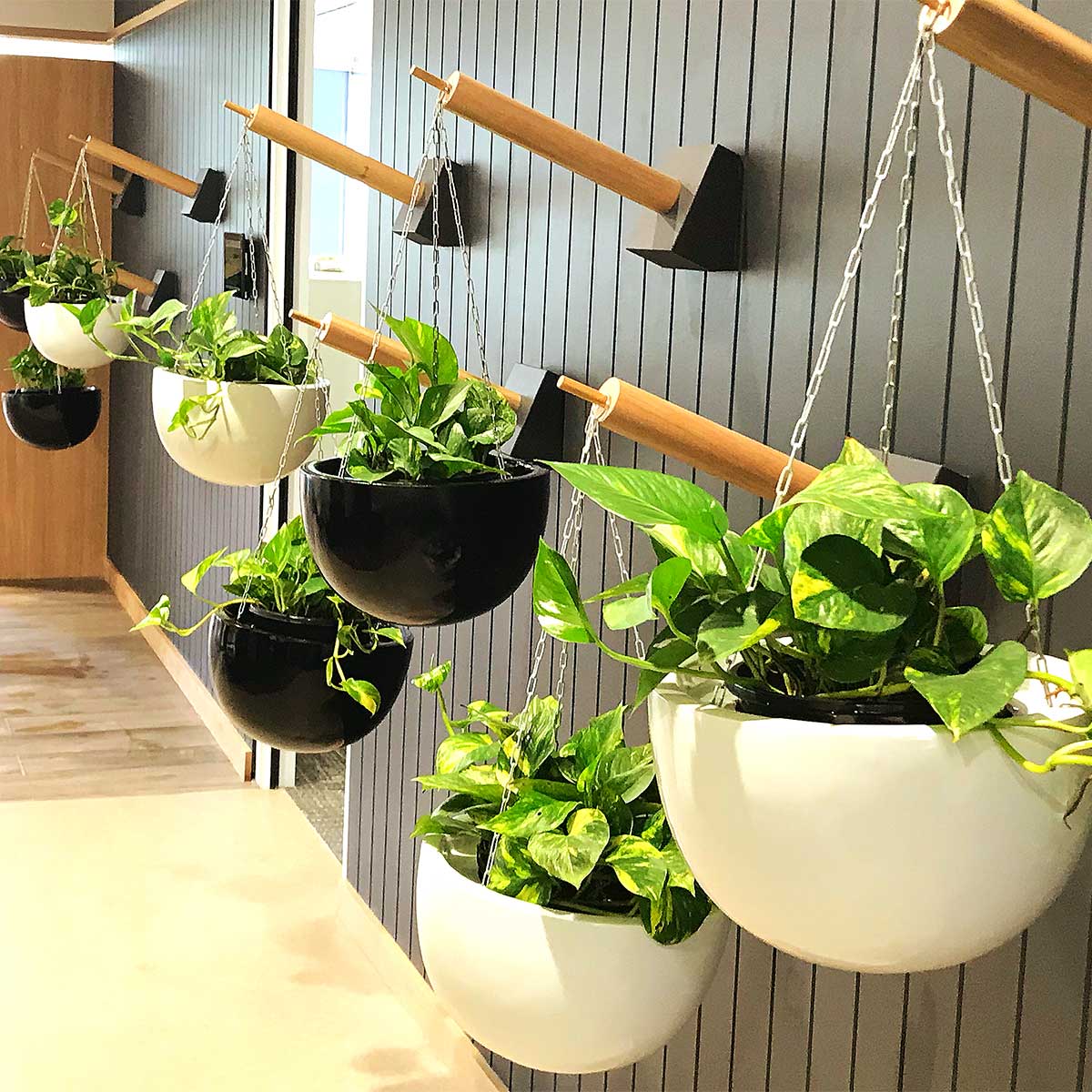 Vertical Garden - Luxury Sunny Home | Design & Decoration